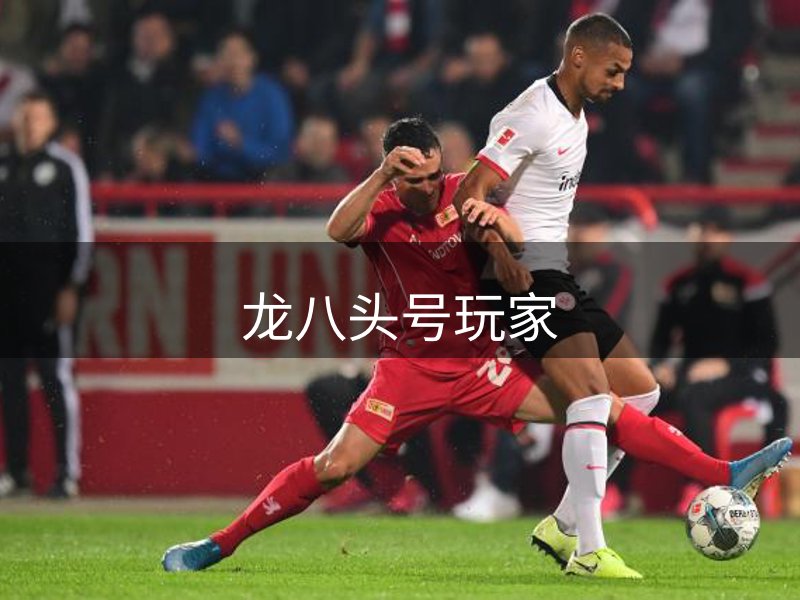 了解龙八头号玩家